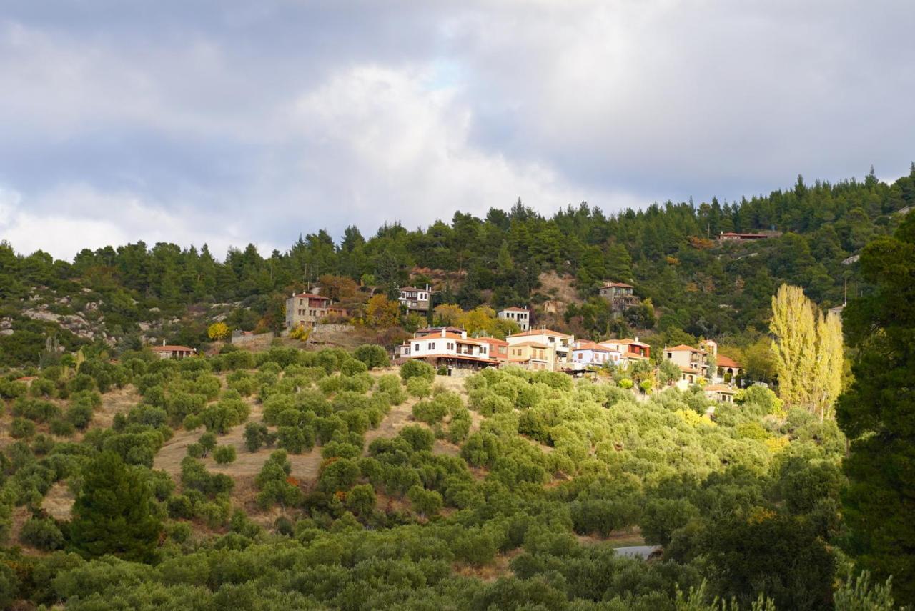 Alterra Vita Eco Villas Neos Marmaras Exteriér fotografie