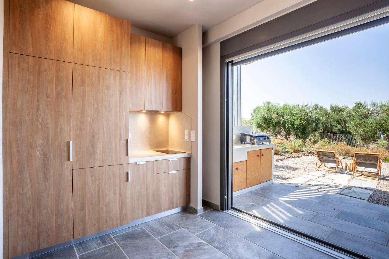 Alterra Vita Eco Villas Neos Marmaras Exteriér fotografie